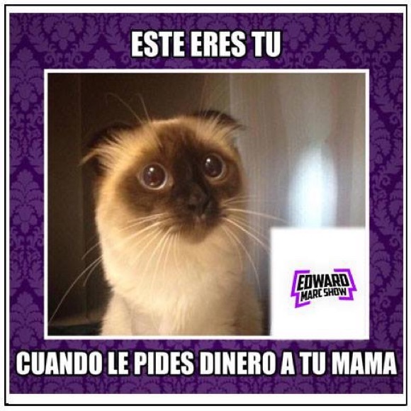 maribeloswaldo